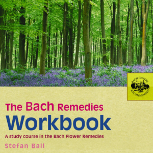 Bach Flower Workbook