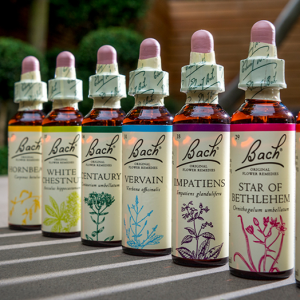 Bach Individual Bottles
